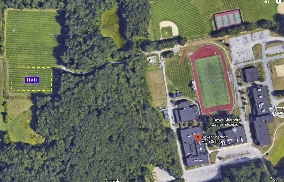 Aerial image of DSHS Fields