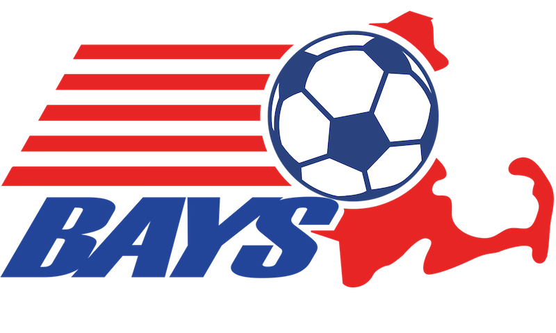 BAYS Logo